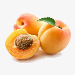 專業(yè)免摳素材 三個黃桃高清產(chǎn)品圖PNG免費下載